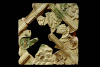 Fragment einer Blattkachel mit Tapetendekor mit Akanthusrosetten und rechtwinkligem, rankenbesetztem Band, mehrfarbig glasiert, 17. Jh., H. 21,0 cm, Br. 21,0 cm, Breisach, Museum