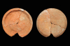 Fragment einer Tellerkachel mit glattem Innenfeld, unglasiert, 2. Hälfte 14. Jh., H. 12,5 cm, T. 1,6 cm Speyer, Historisches Museum der Pfalz, urspr. Zweibrücken, Alte Fasanerie